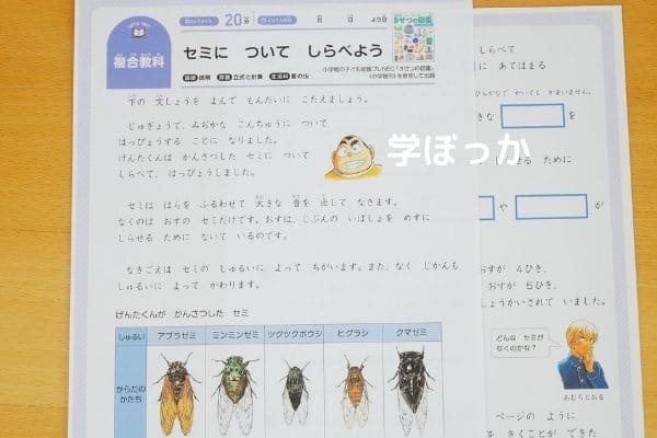 コナンゼミ 通信教育ワーク のメリット デメリットを解説